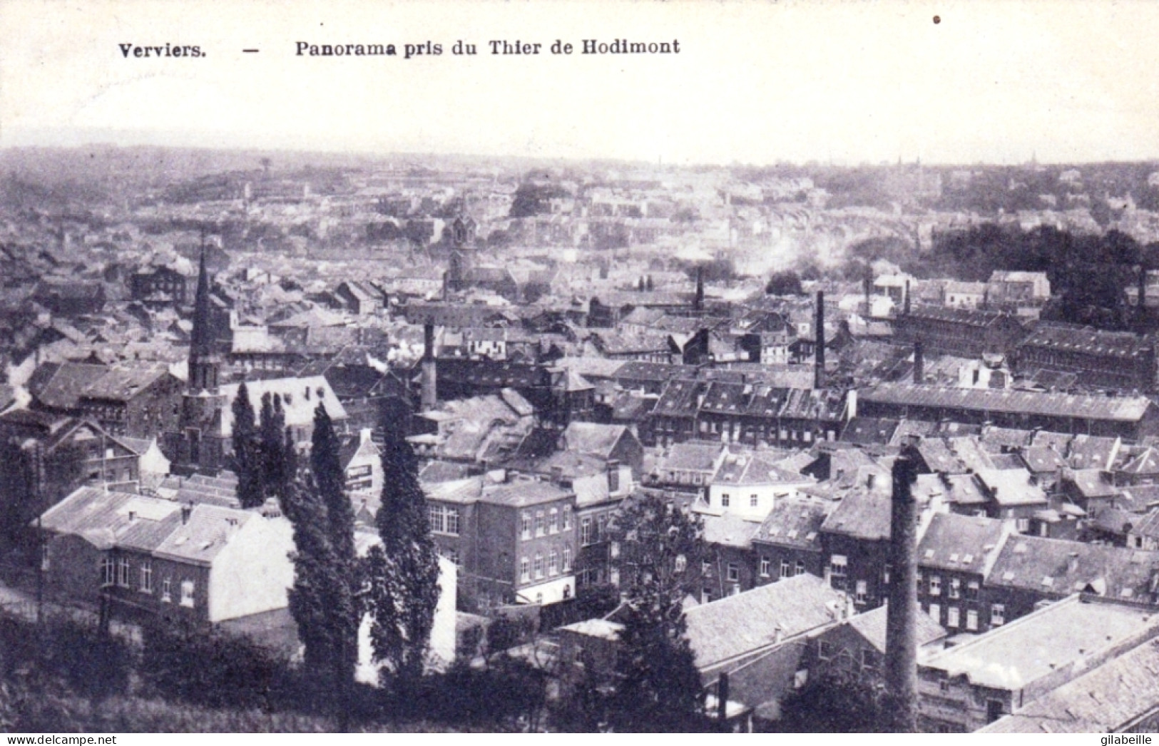 Liege - VERVIERS -  Panorama Pris Du Thier De Haudimont - Verviers