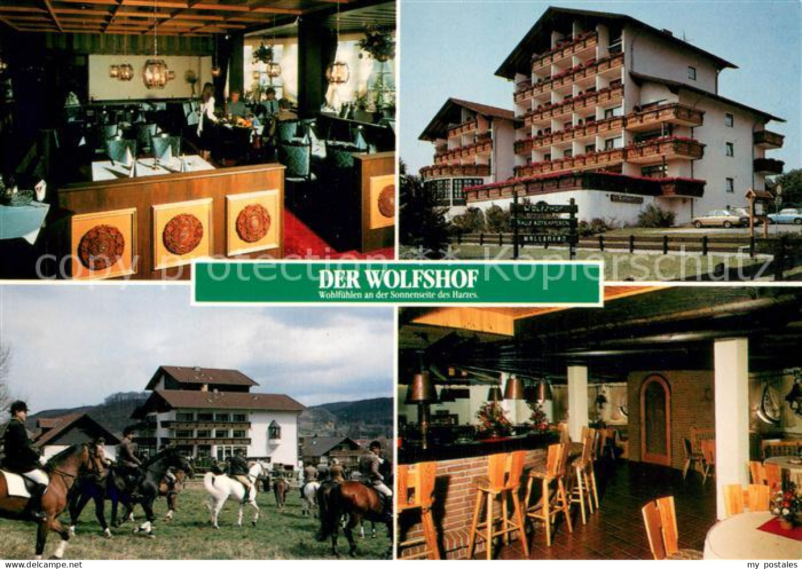 73742404 Langelsheim Hotel Wolfshof Gastraum Bar Reiter Langelsheim - Langelsheim