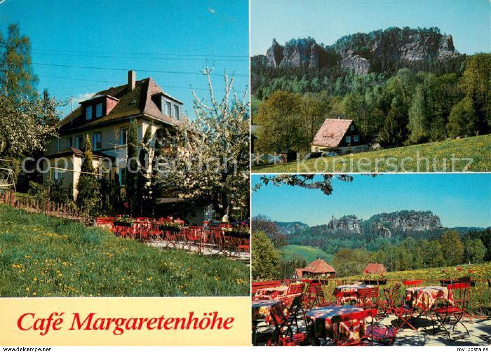 73742401 Rathen Saechsische Schweiz Cafe Margaretenhoehe Terrasse Panorama Rathe - Rathen