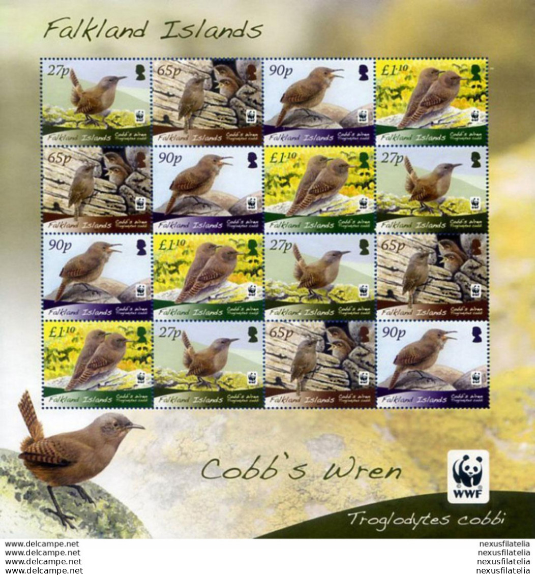 Fauna. WWF. Uccelli 2009. - Falklandeilanden