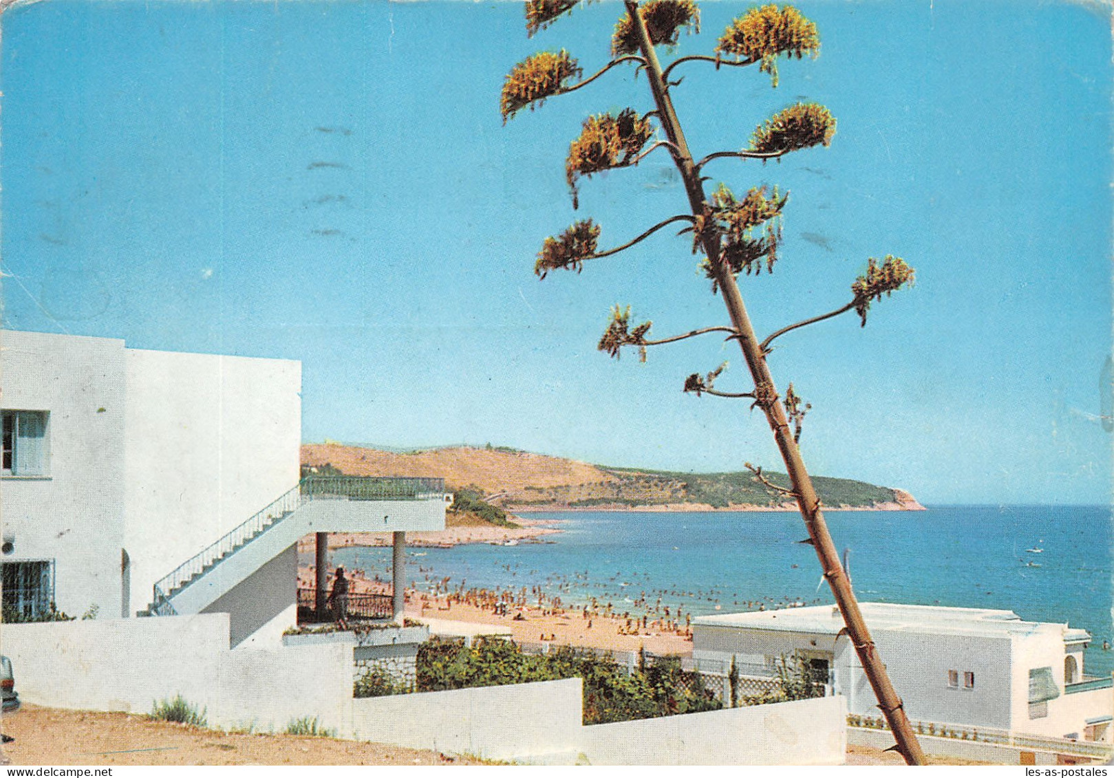 TUNISIE LA MARSA - Tunesië