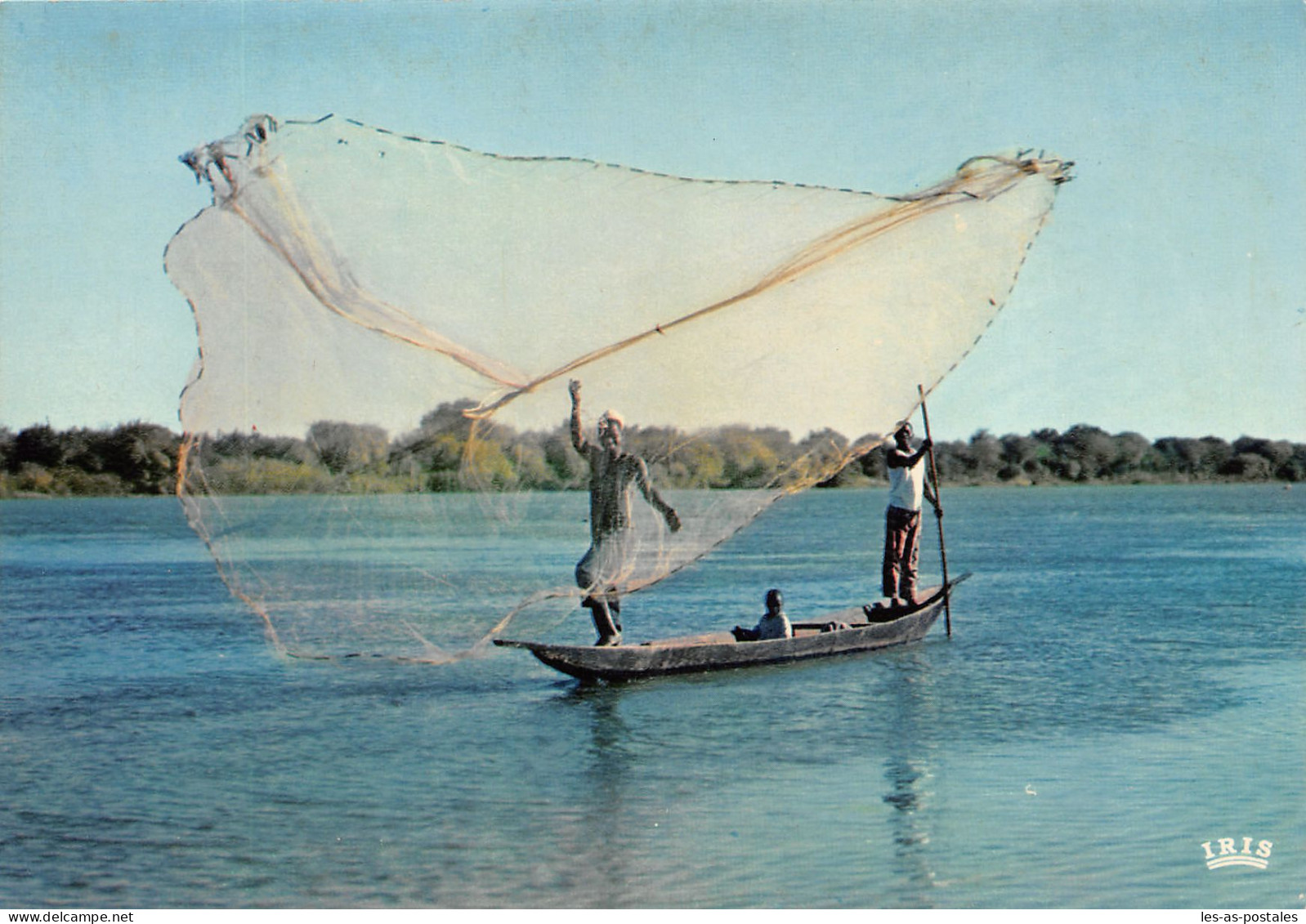 ALGERIE SCENES ET TYPES SCENE DE PECHE - Scènes & Types