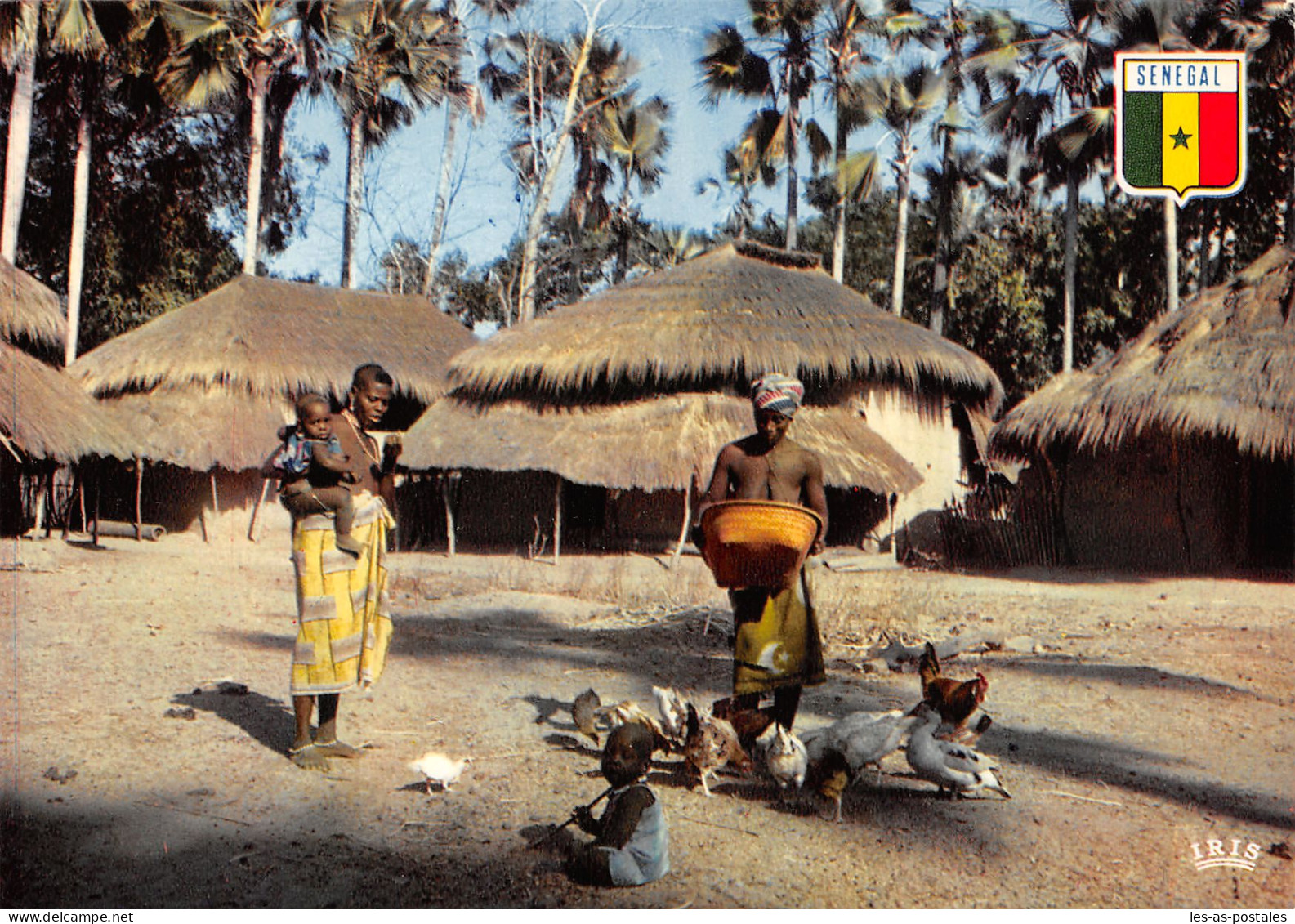 SENEGAL CASAMANCE BASSE CASAMANCE - Senegal