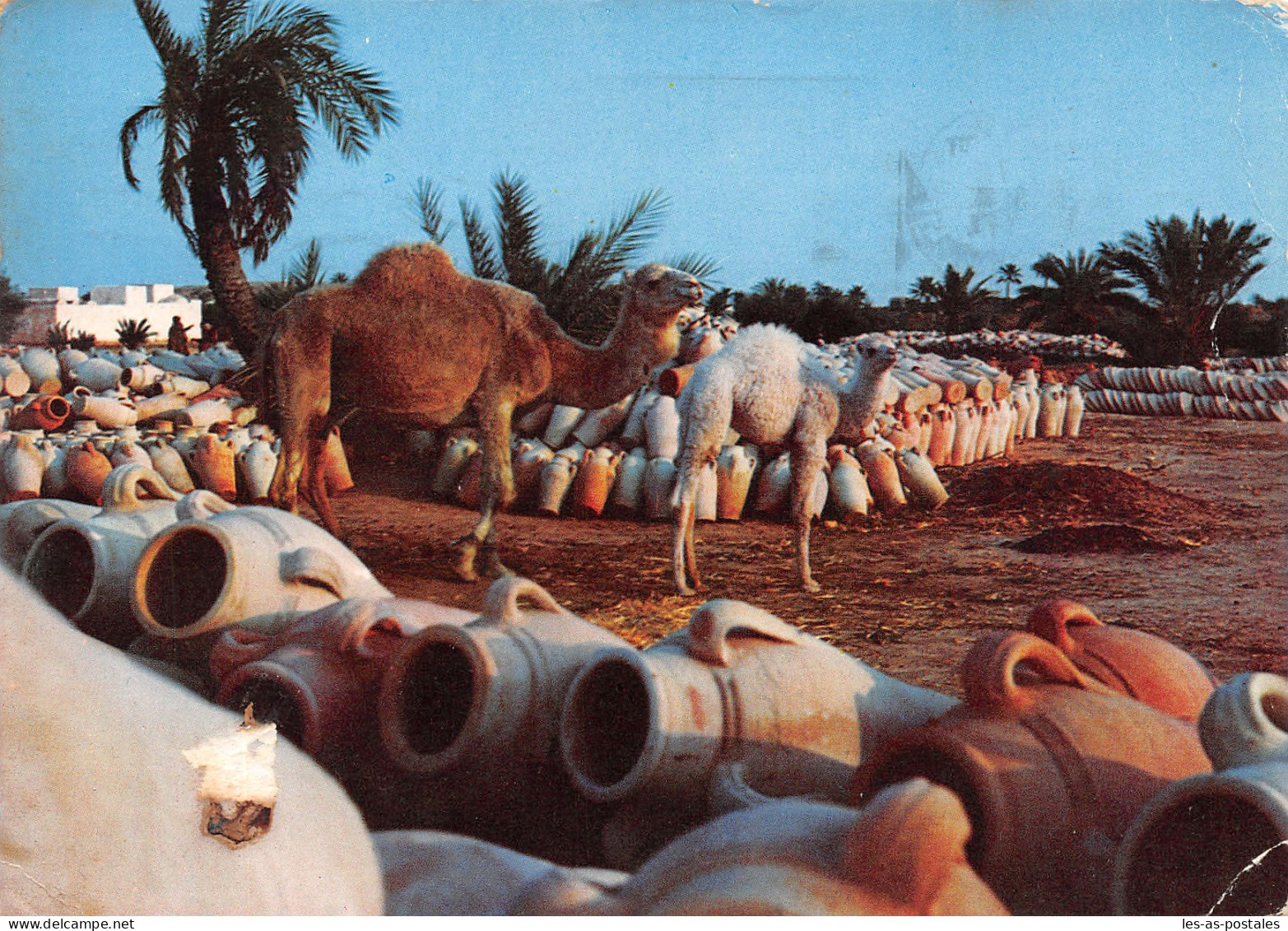 TUNISIE JERBA GUELLALA - Tunisie