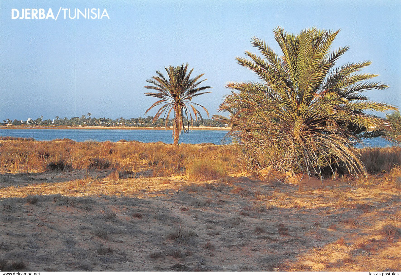 TUNISIE DJERBA - Tunisie