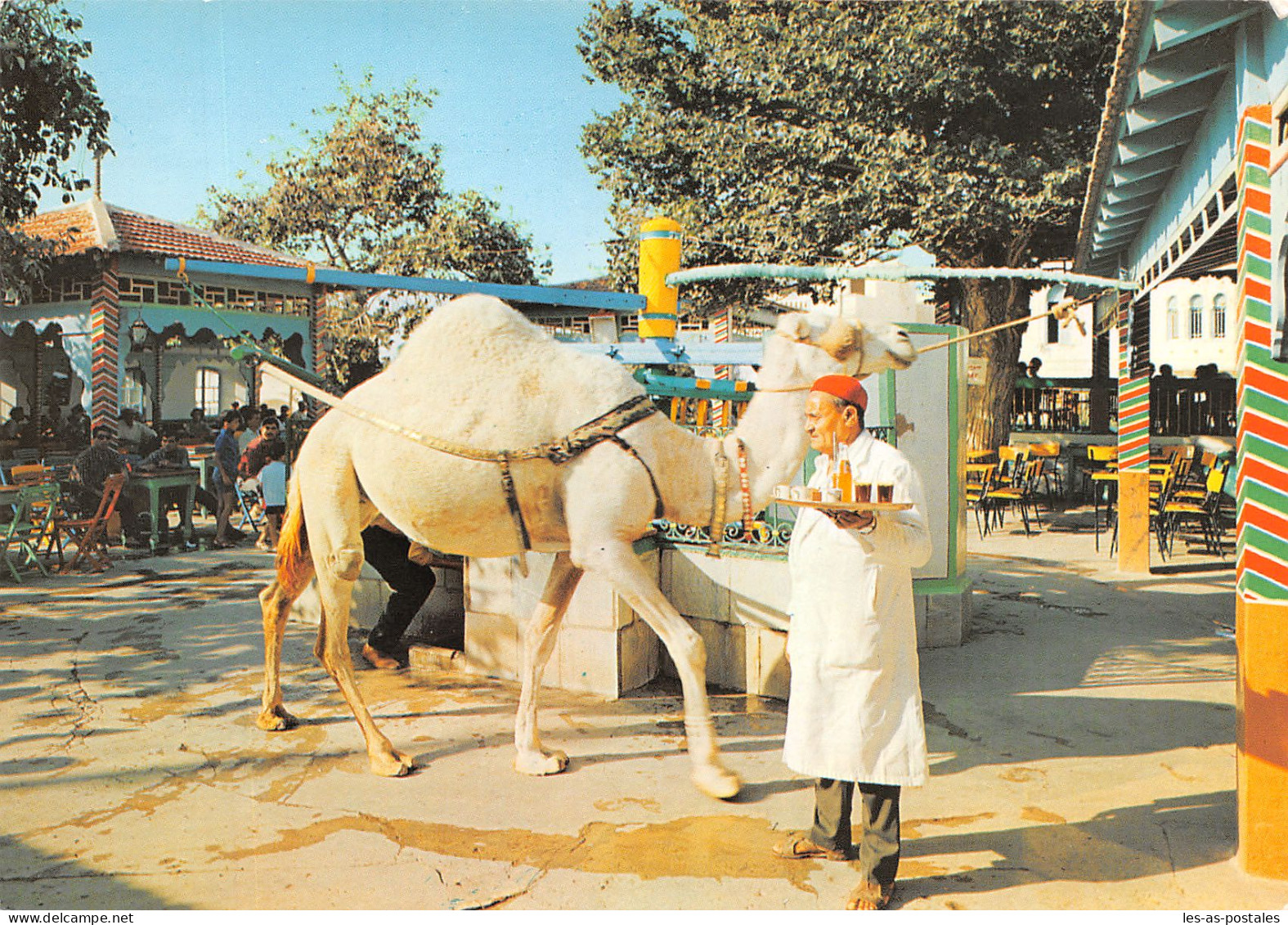 TUNISIE LA MARSA LE CAFE SAF SAF - Tunisia