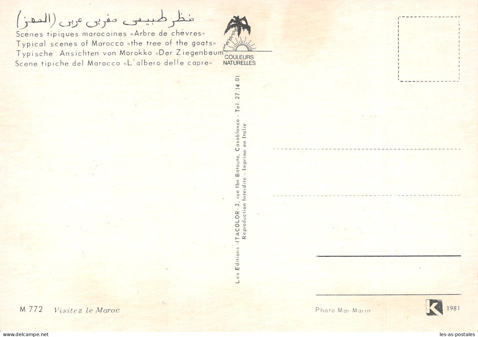 MAROC CHEVRES - Other & Unclassified