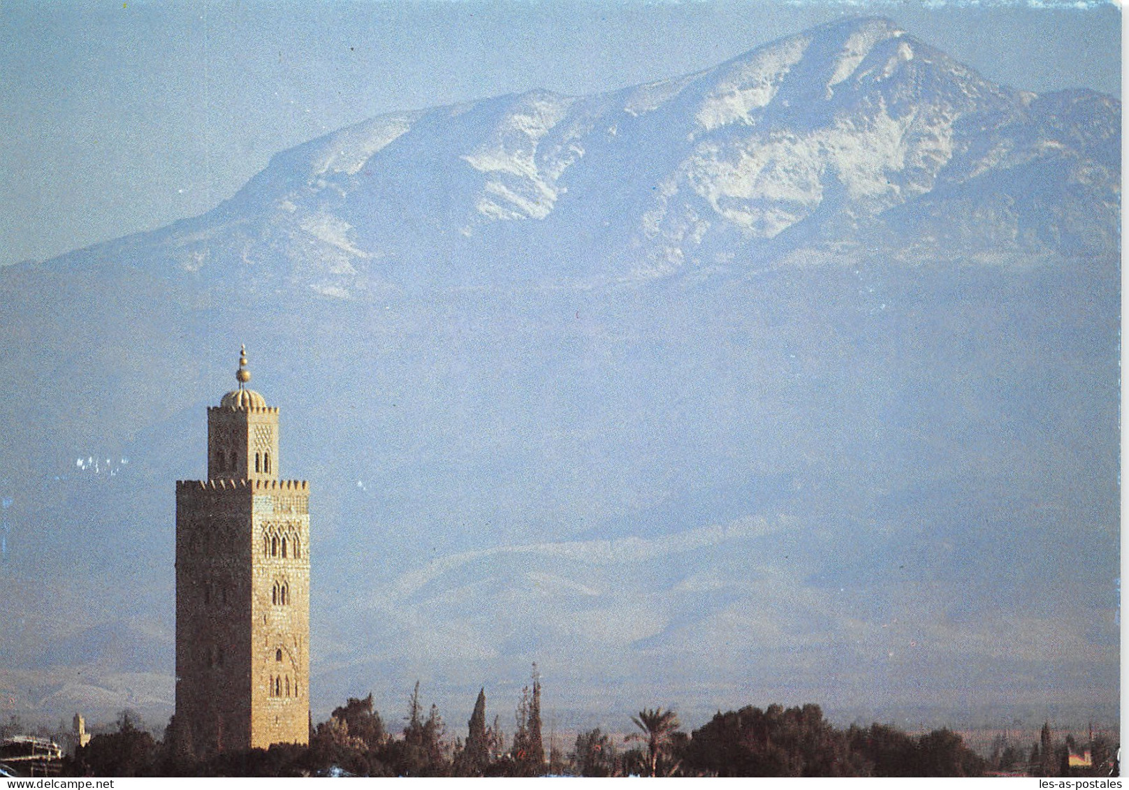 MAROC MARRAKECH LA KOUTOUBIA - Marrakech