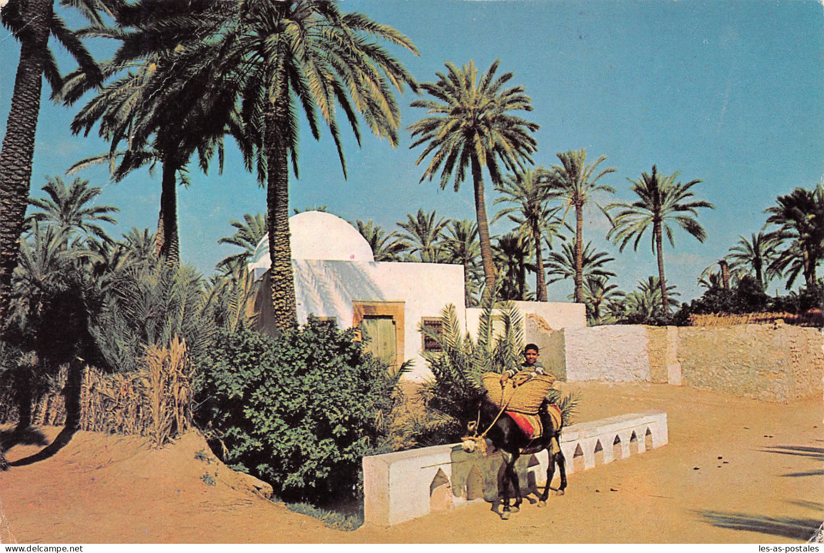 TUNISIE GABES OASIS - Tunesien