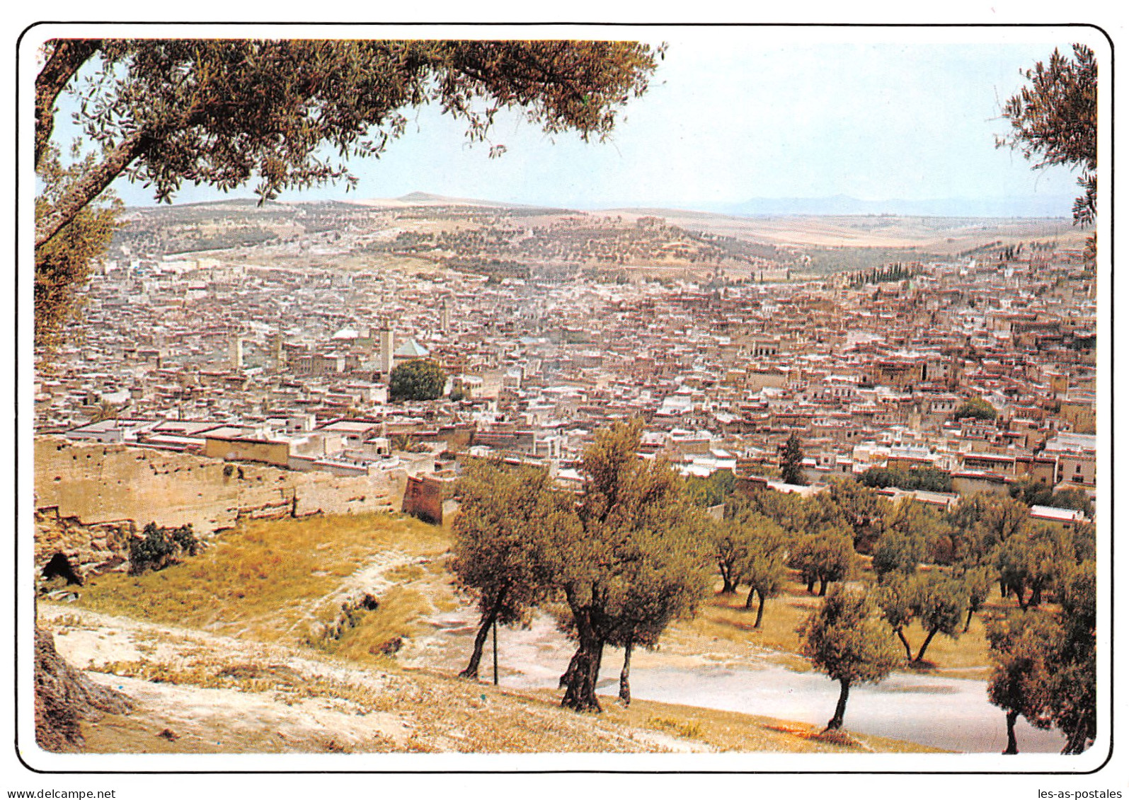 MAROC FES - Fez