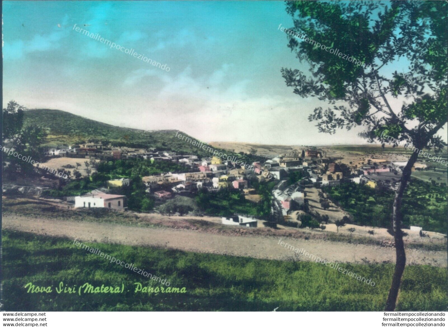 P653 Cartolina Nova Siri Panorama Provincia Di Matera - Matera