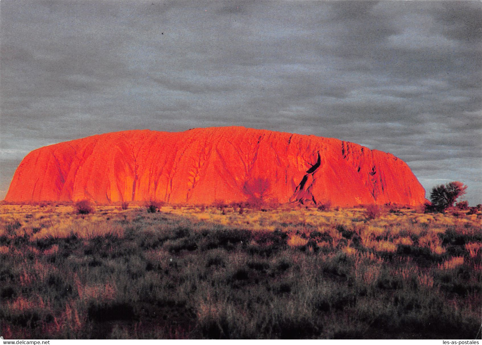 AUSTRALIE AYERS ROCK AT SUNSET - Sonstige & Ohne Zuordnung