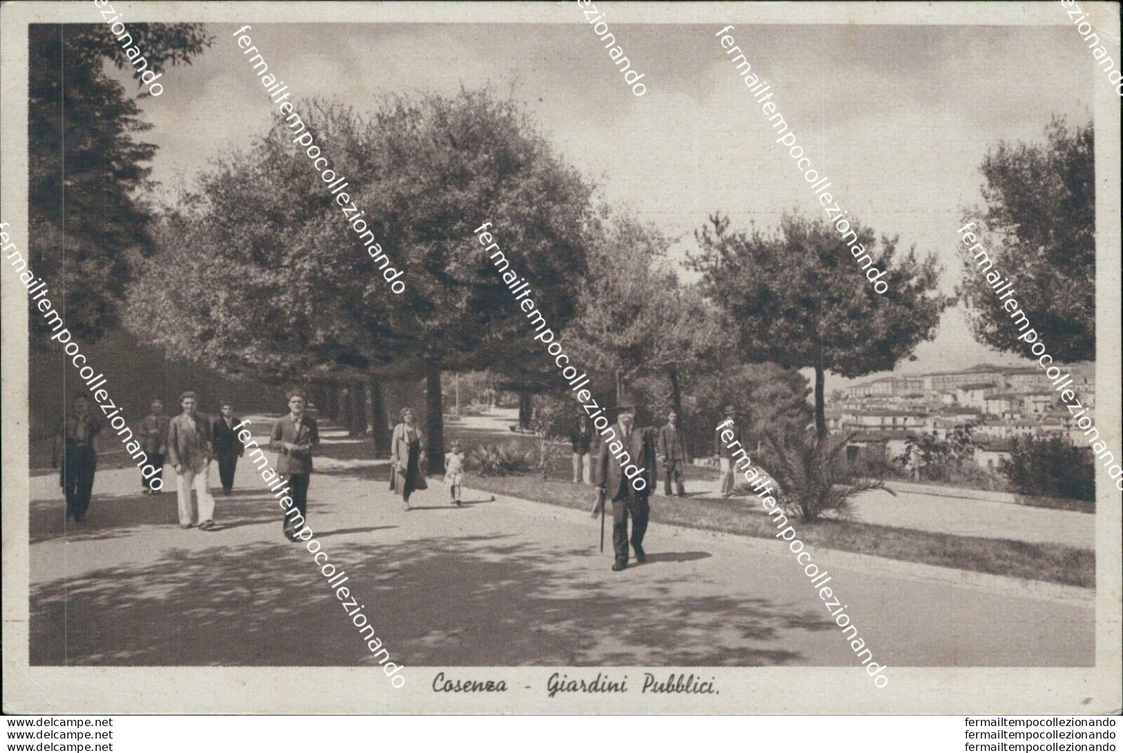 Bg238 Cartolina Cosenza Citta' Giardini Pubblici - Cosenza