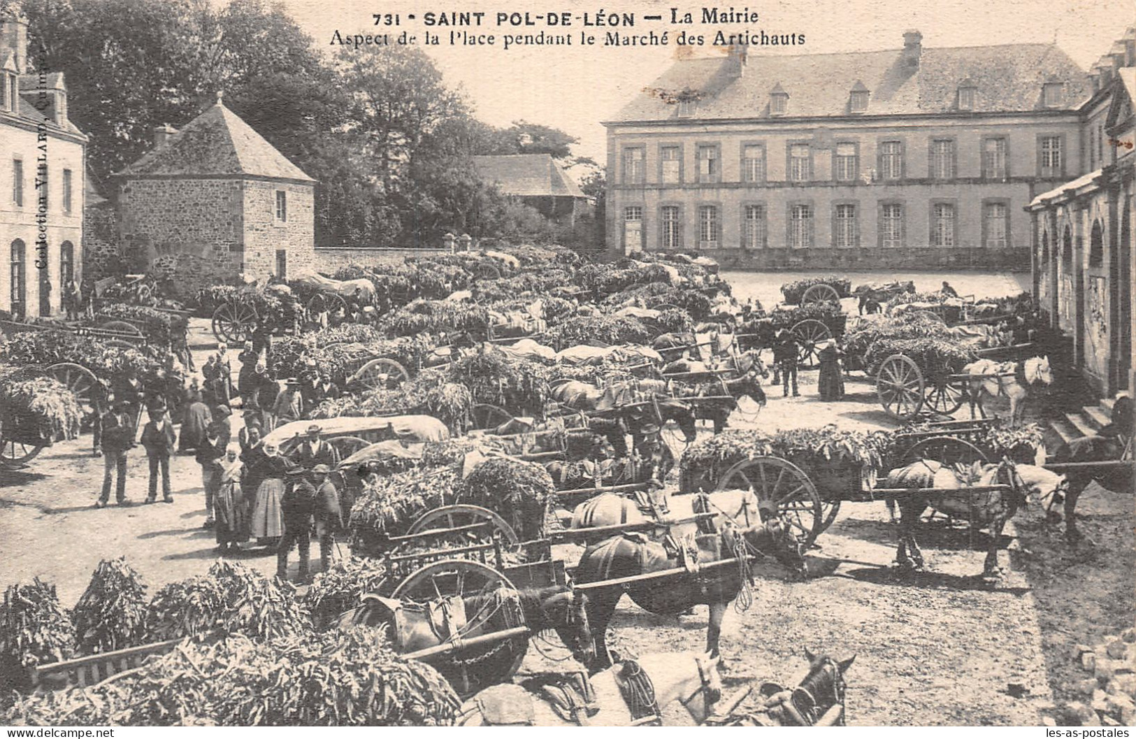 29 SAINT POL DE LEON MARCHE AUX ARTICHAUTS - Saint-Pol-de-Léon