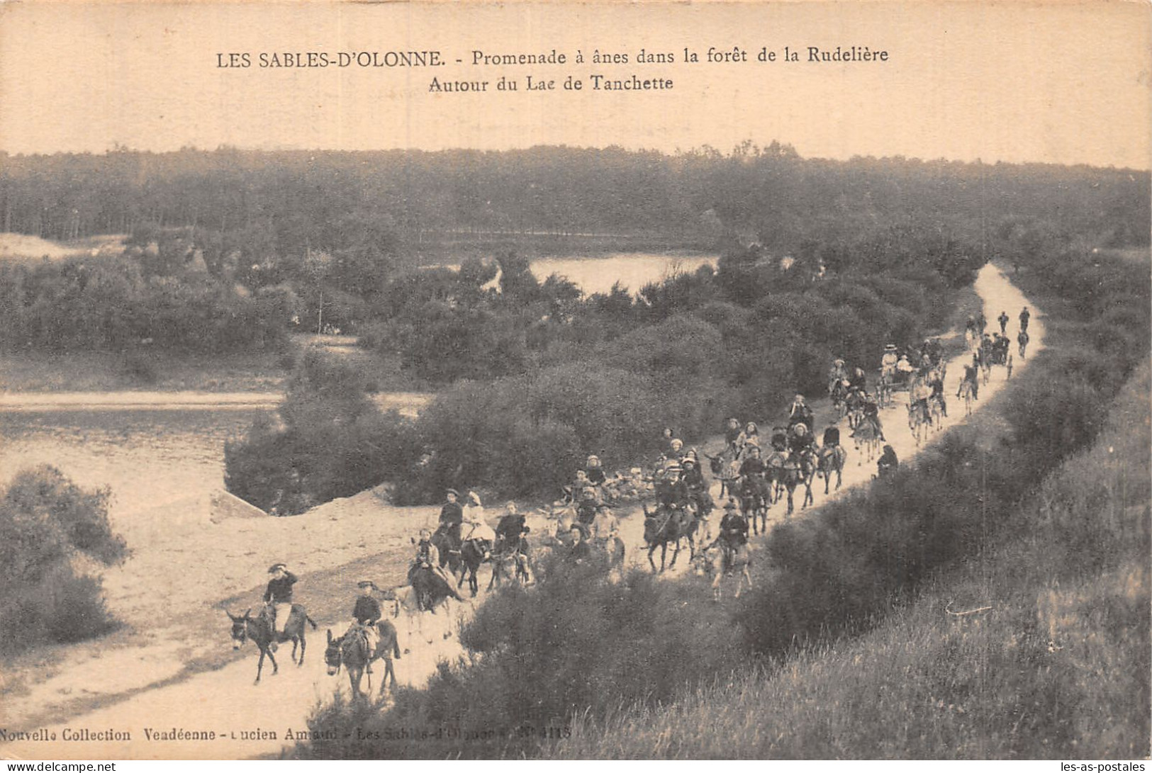 85 LES SABLES D OLONNE ANES DANS LA FORET DE LA RUDELIERE - Sables D'Olonne