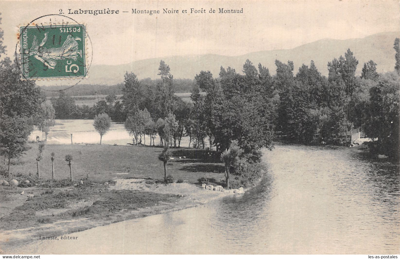 81 LABRUGUIERE FORET DE MONTAUD - Labruguière