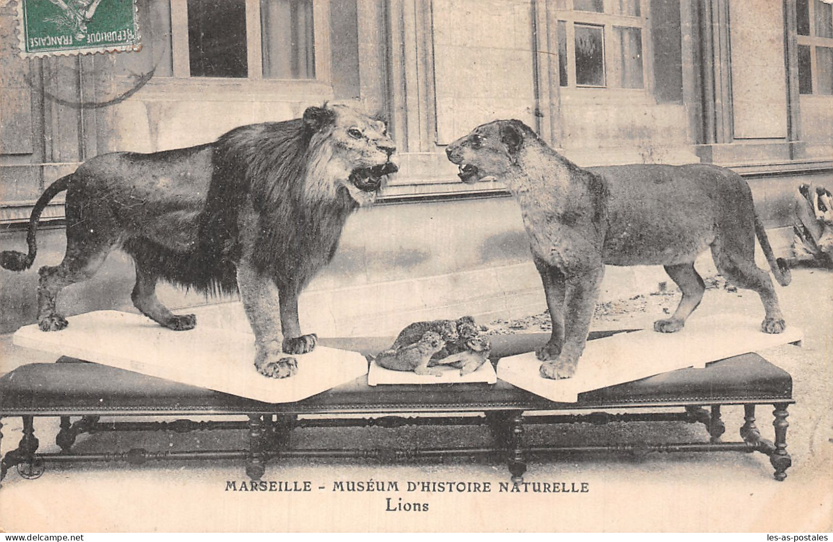 13 MARSEILLE MUSEUM LIONS - Unclassified