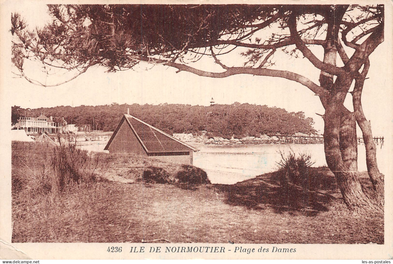 85 L ILE DE NOIRMOUTIER PLAGE DES DAMES - Ile De Noirmoutier