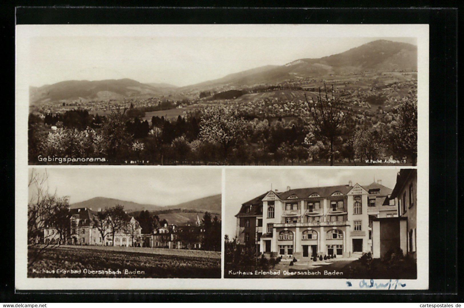 AK Obersasbach, Partien Vom Hotel Erlenbad, Gebirgspanorama  - Other & Unclassified