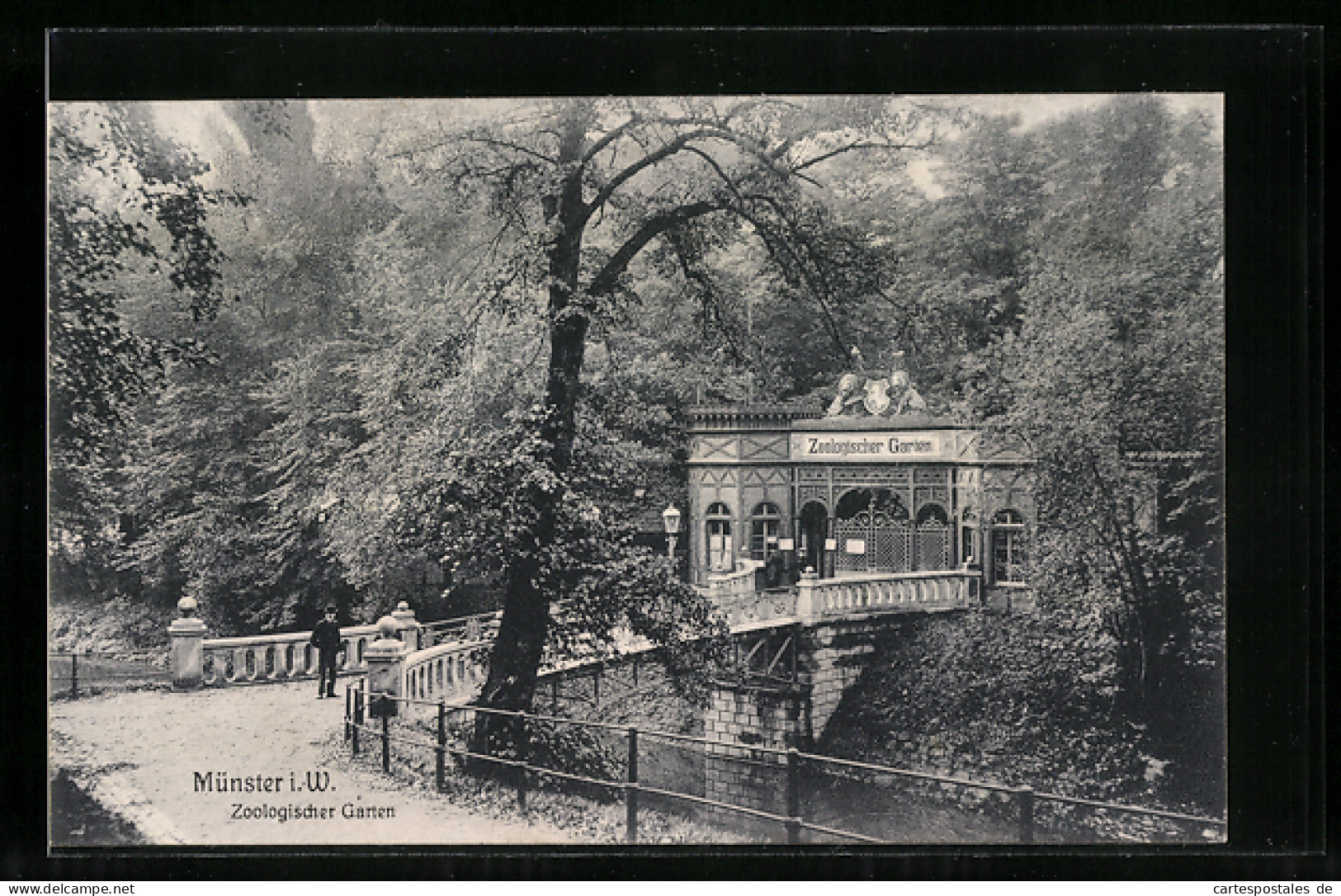 AK Münster I. W., Eingang Zum Zoologischen Garten  - Autres & Non Classés