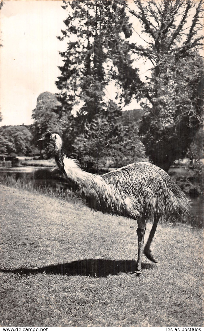 76 CLERES PARC ZOOLOGIQUE - Clères