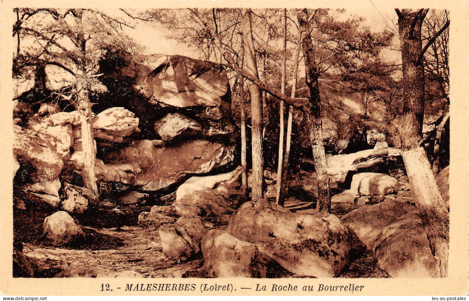 45 MALESHERBES ROCHE AU BOURRELIER - Malesherbes