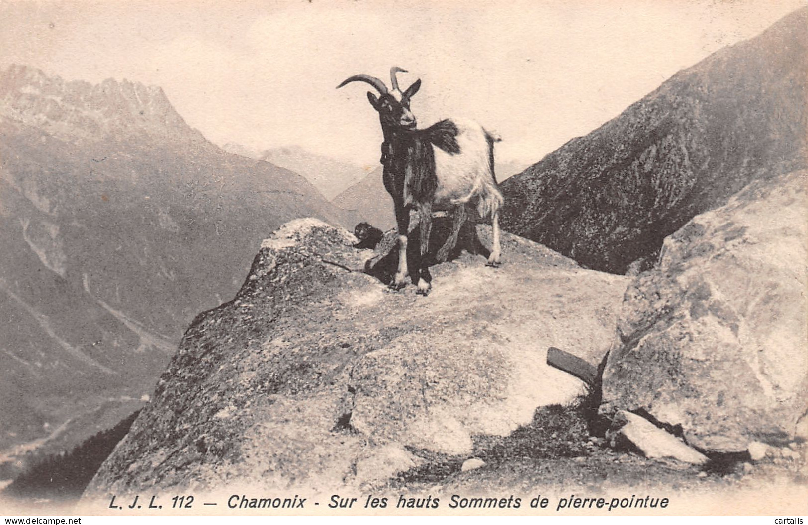 74-CHAMONIX-N°3786-D/0267 - Chamonix-Mont-Blanc