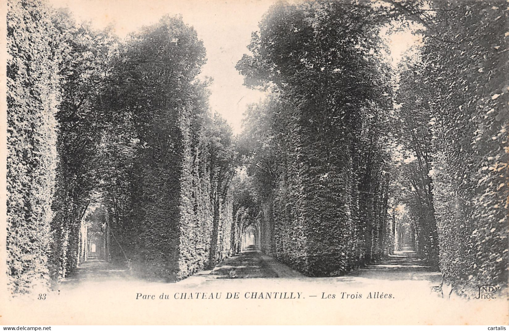 60-CHANTILLY-N°3786-D/0005 - Chantilly