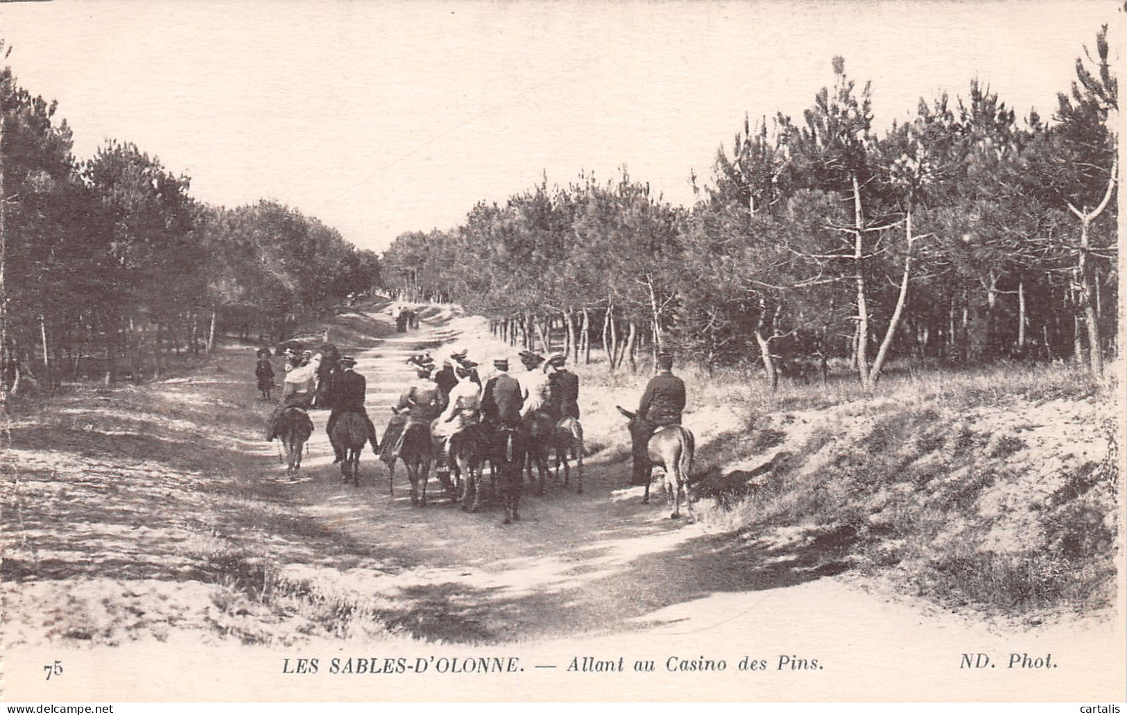 85-LES SABLES D OLONNE-N°3786-C/0375 - Sables D'Olonne