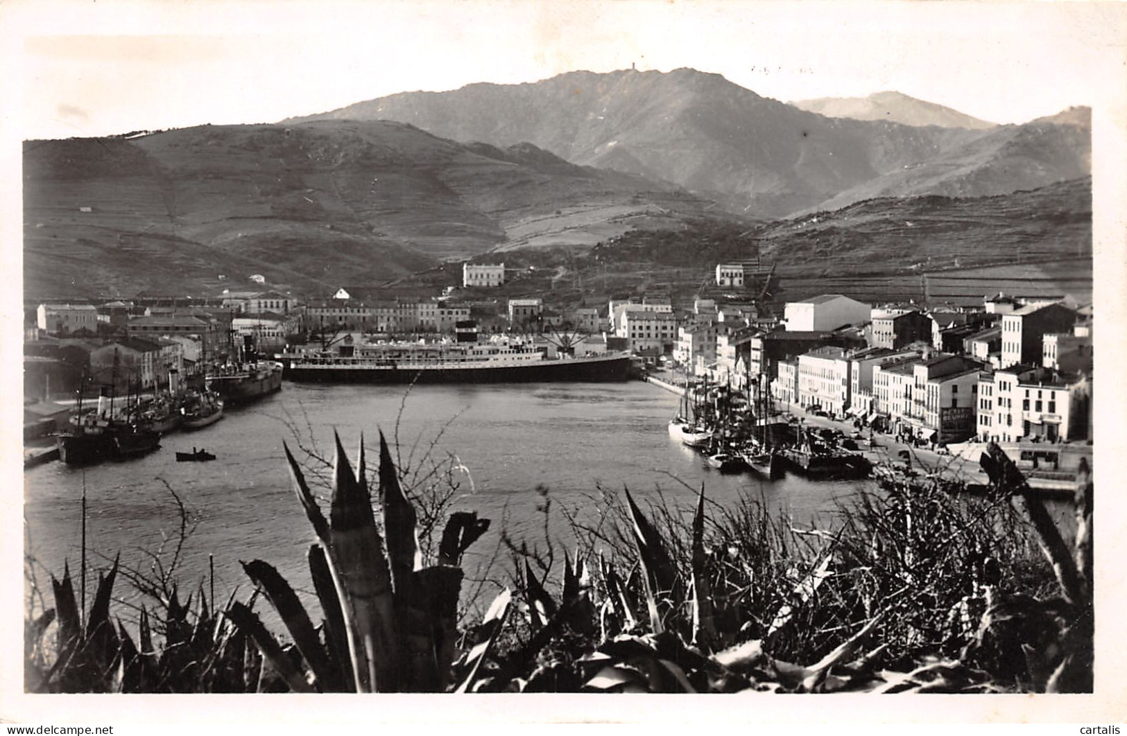 66-PORT VENDRES-N°3786-F/0009 - Port Vendres