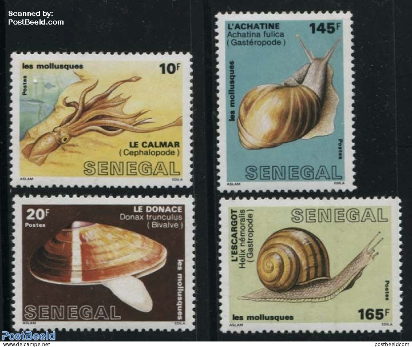 Senegal 1988 Marine Life 4v, Mint NH, Nature - Shells & Crustaceans - Meereswelt