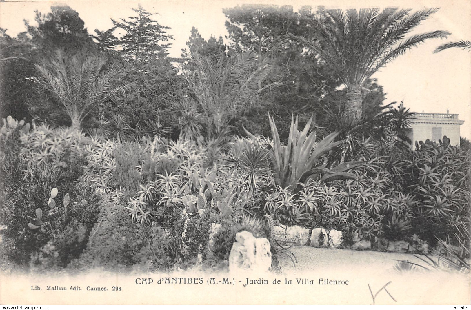 06-ANTIBES-N°3787-A/0169 - Otros & Sin Clasificación