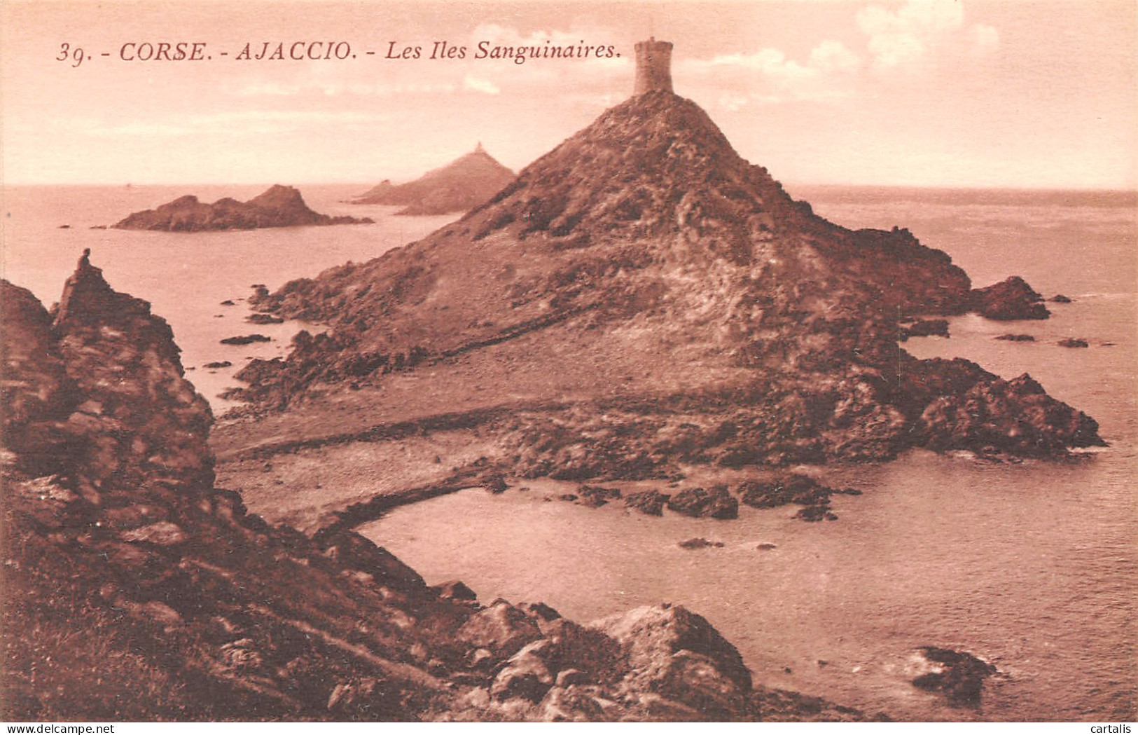 20-AJACCIO-N°3786-H/0371 - Ajaccio