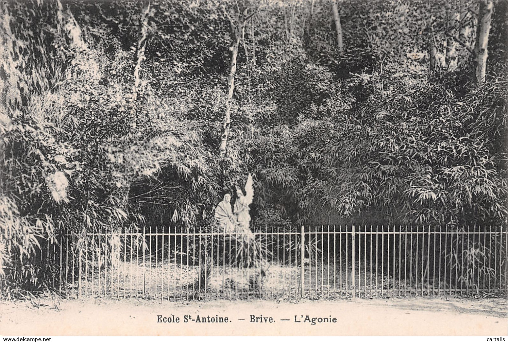 19-BRIVE-N°3786-H/0165 - Brive La Gaillarde