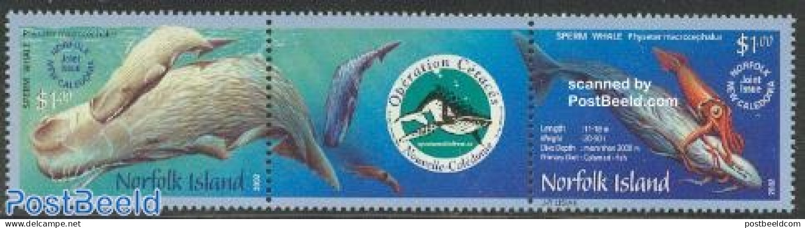 Norfolk Island 2002 Whales 2v+tab [:T:], Mint NH, Nature - Various - Sea Mammals - Joint Issues - Joint Issues