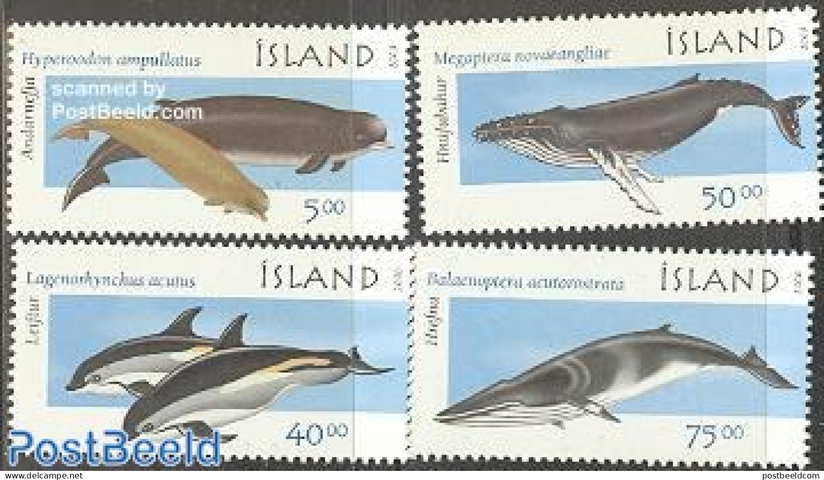Iceland 2000 Whales And Dolpins 4v, Mint NH, Nature - Sea Mammals - Nuevos