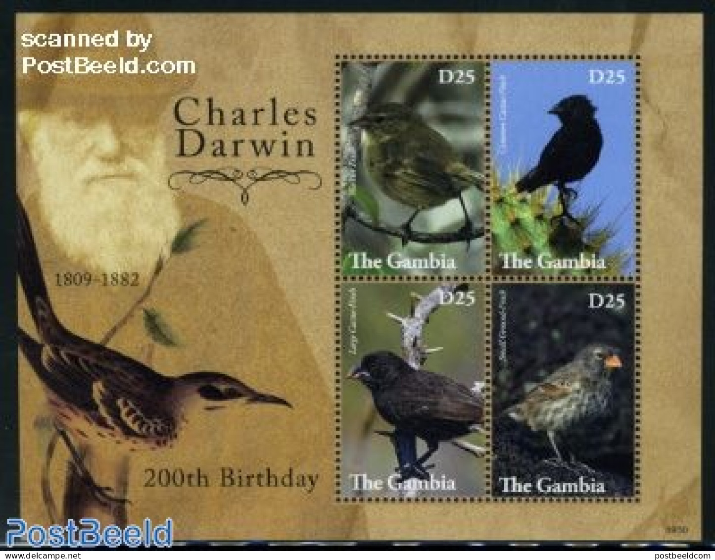 Gambia 2009 Birds 4v M/s, Mint NH, Nature - Birds - Gambia (...-1964)