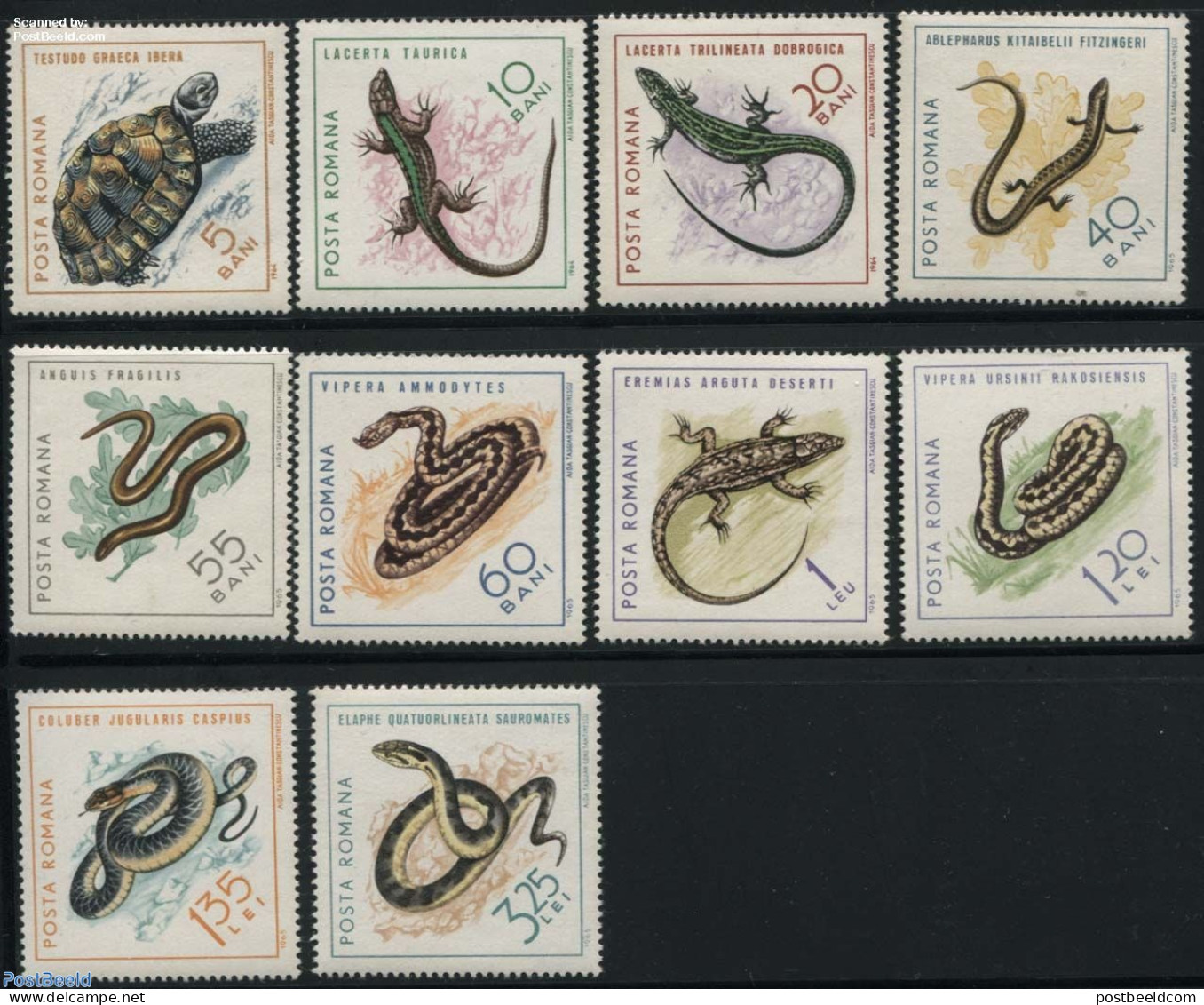 Romania 1965 Reptiles 10v, Mint NH, Nature - Reptiles - Snakes - Turtles - Nuovi