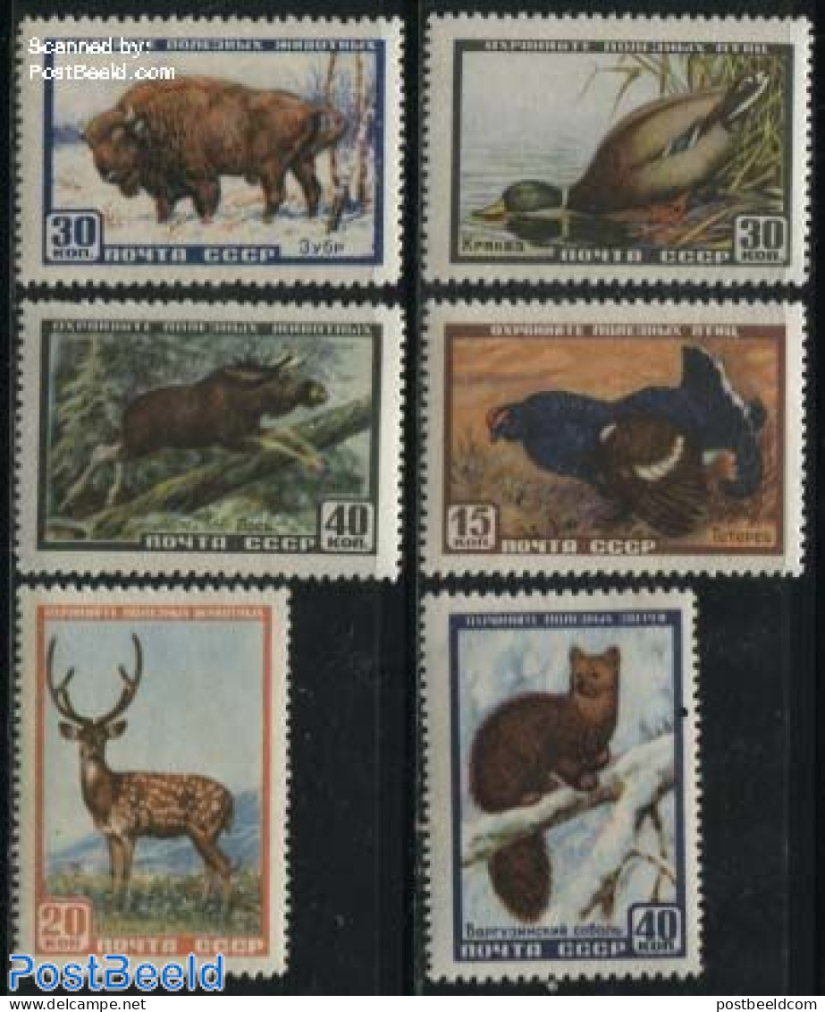 Russia, Soviet Union 1957 Animals 6v, Mint NH, Nature - Animals (others & Mixed) - Birds - Deer - Ducks - Poultry - Ungebraucht