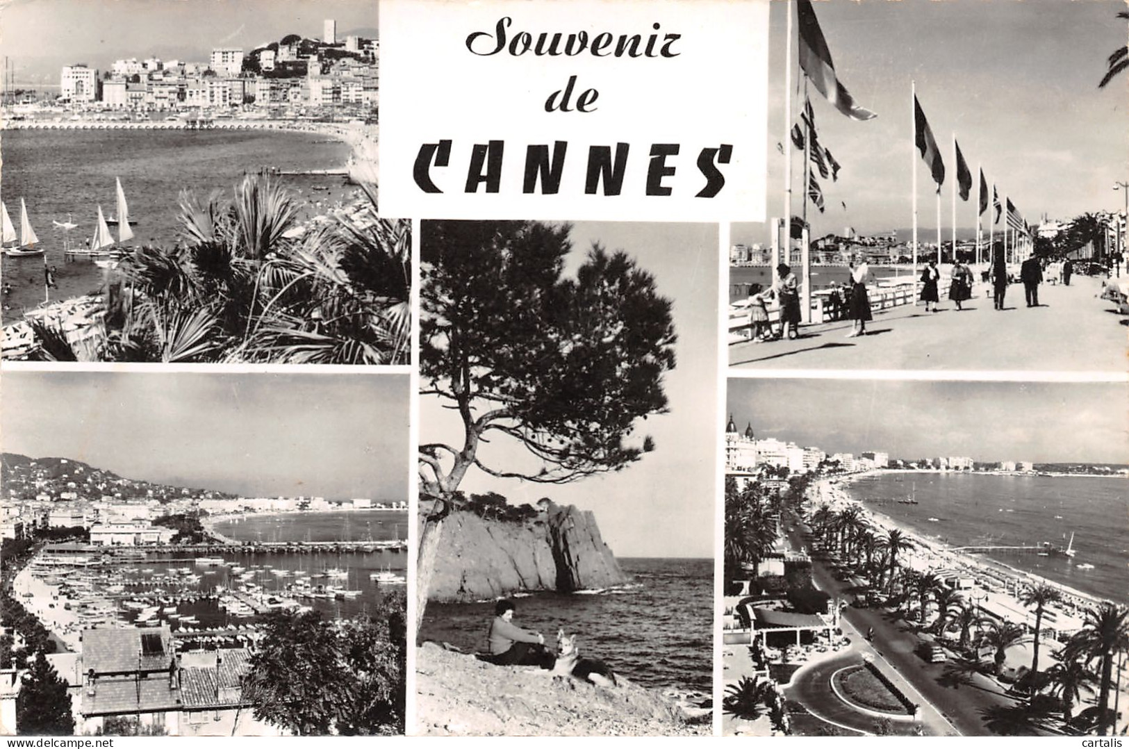 06-CANNES-N°3787-G/0233 - Cannes