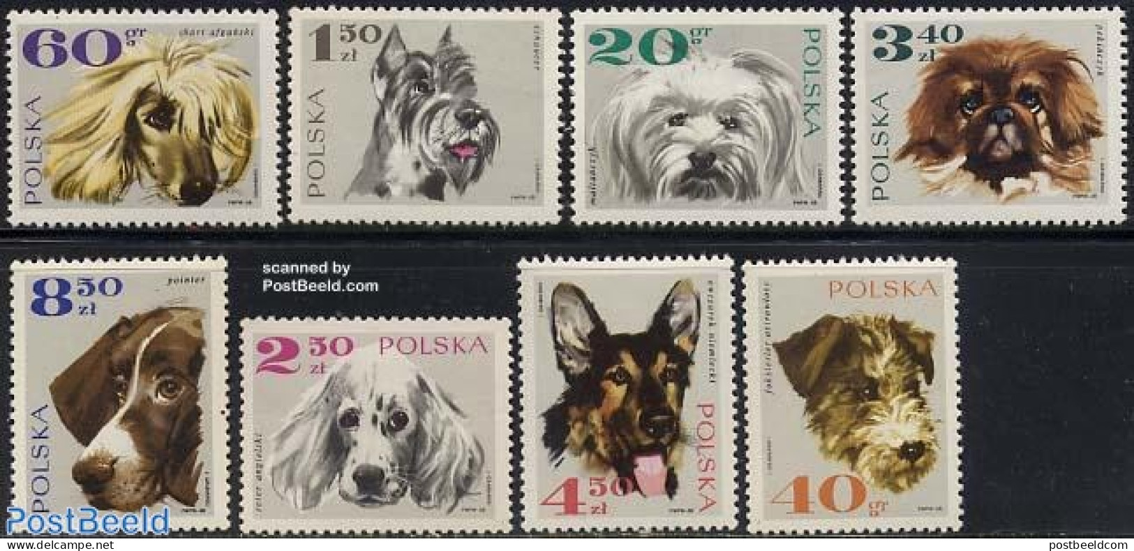 Poland 1969 Dogs 8v, Mint NH, Nature - Dogs - Nuevos