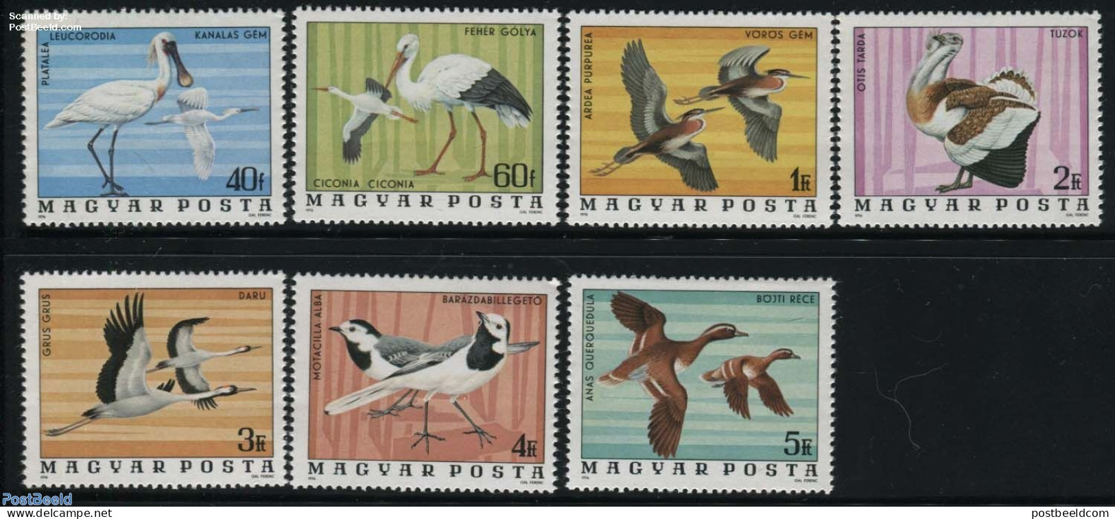 Hungary 1977 Hortobagy Park Birds 7v, Mint NH, Nature - Birds - Ducks - Storks - Geese - Unused Stamps