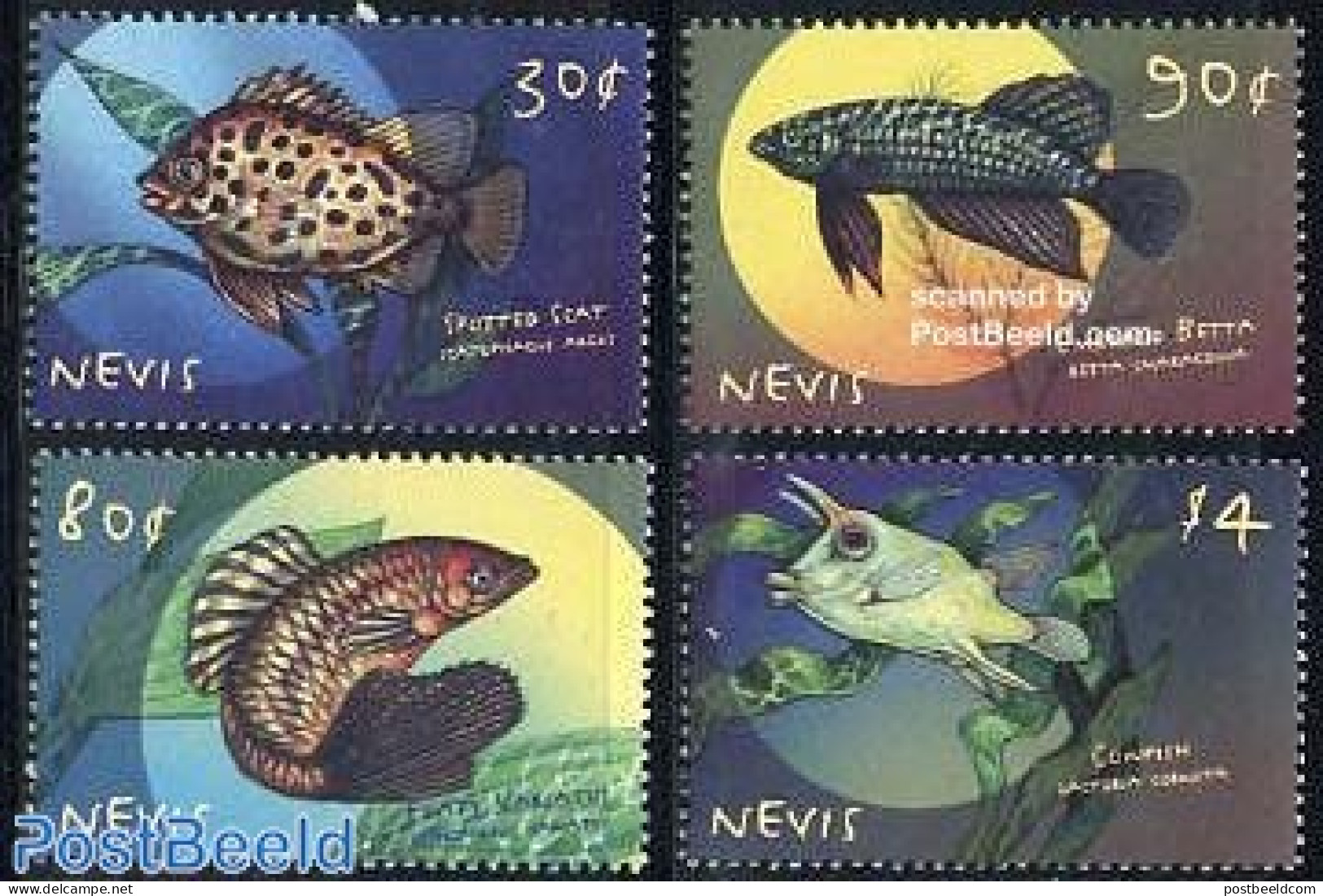 Nevis 2000 Tropical Fish 4v, Mint NH, Nature - Fish - Vissen