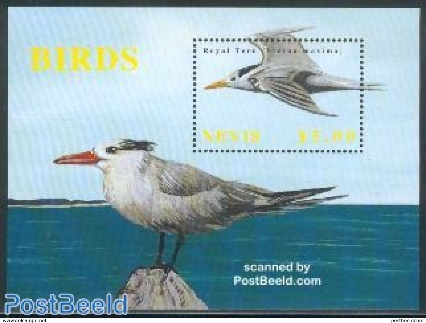 Nevis 2002 Royal Tern S/s, Mint NH, Nature - Birds - St.Kitts-et-Nevis ( 1983-...)