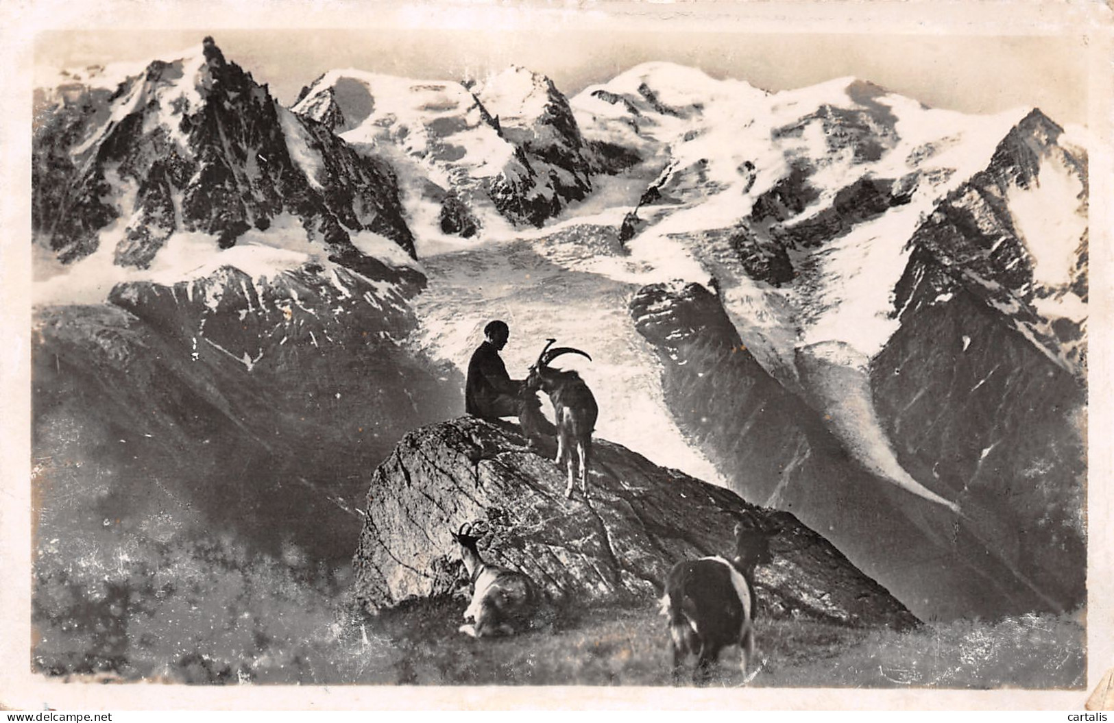 74-CHAMONIX-N°3787-E/0311 - Chamonix-Mont-Blanc