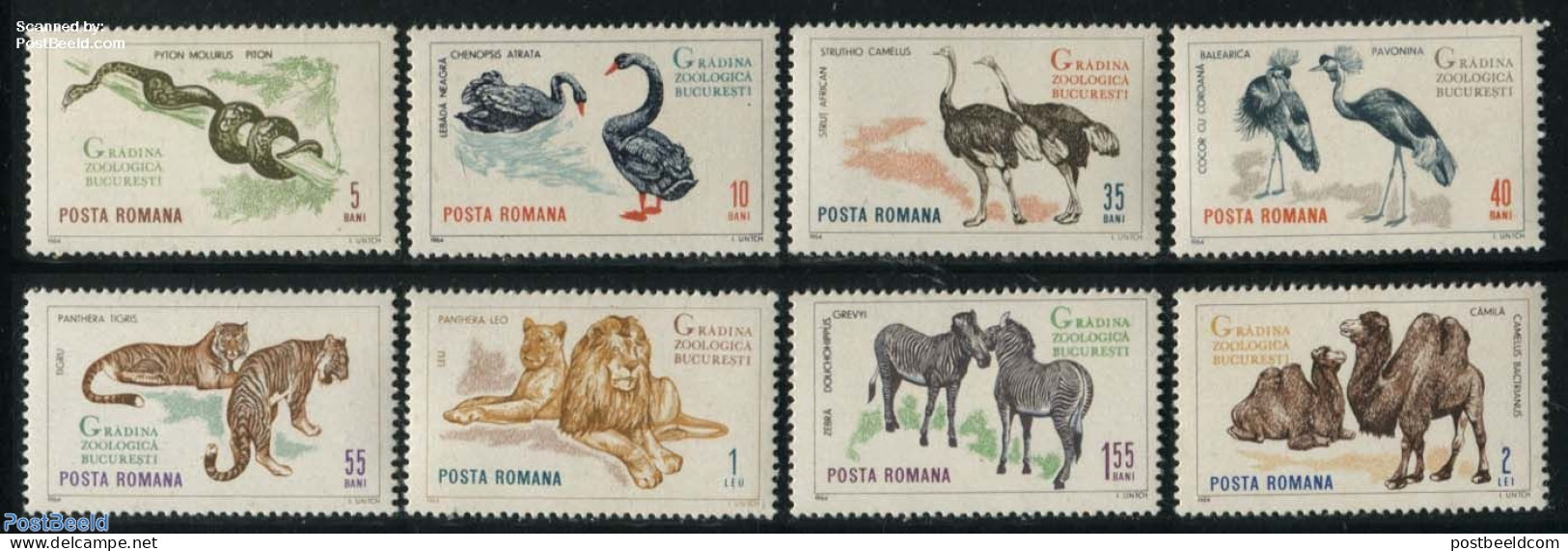 Romania 1964 Bucarest Zoo 8v, Mint NH, Nature - Animals (others & Mixed) - Birds - Camels - Cat Family - Reptiles - Sn.. - Ongebruikt
