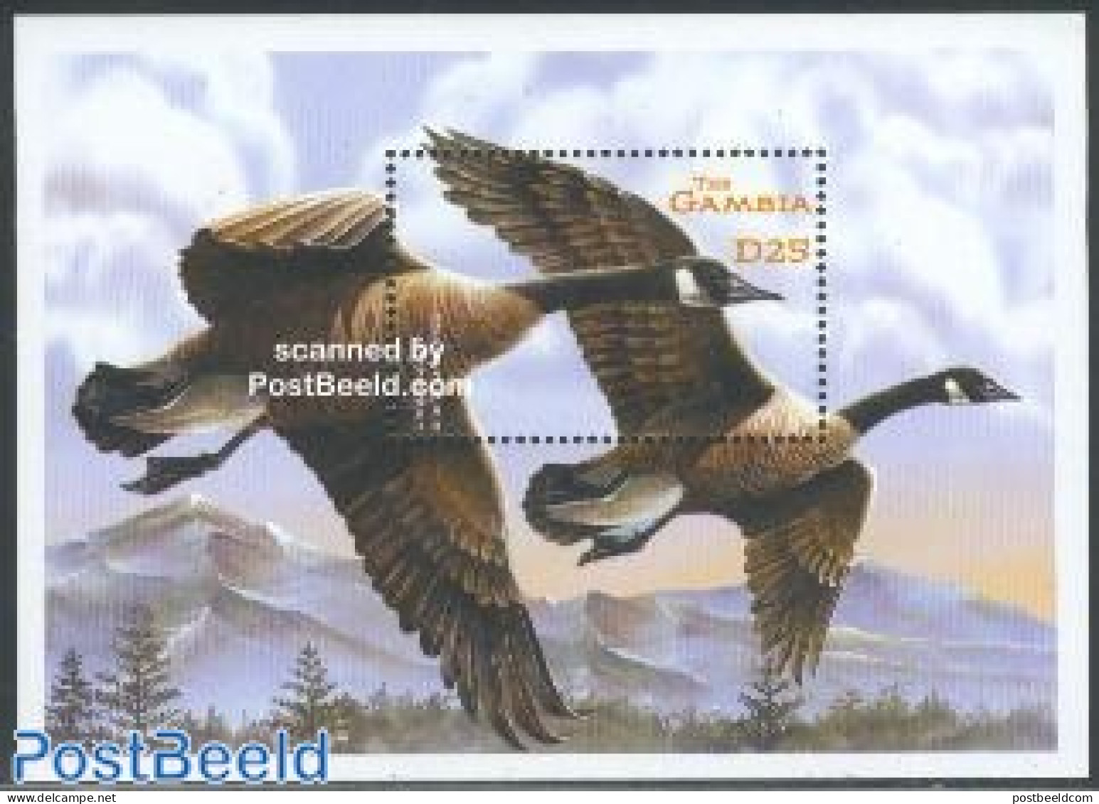 Gambia 2001 Canada Goose S/s, Mint NH, Nature - Birds - Ducks - Gambia (...-1964)