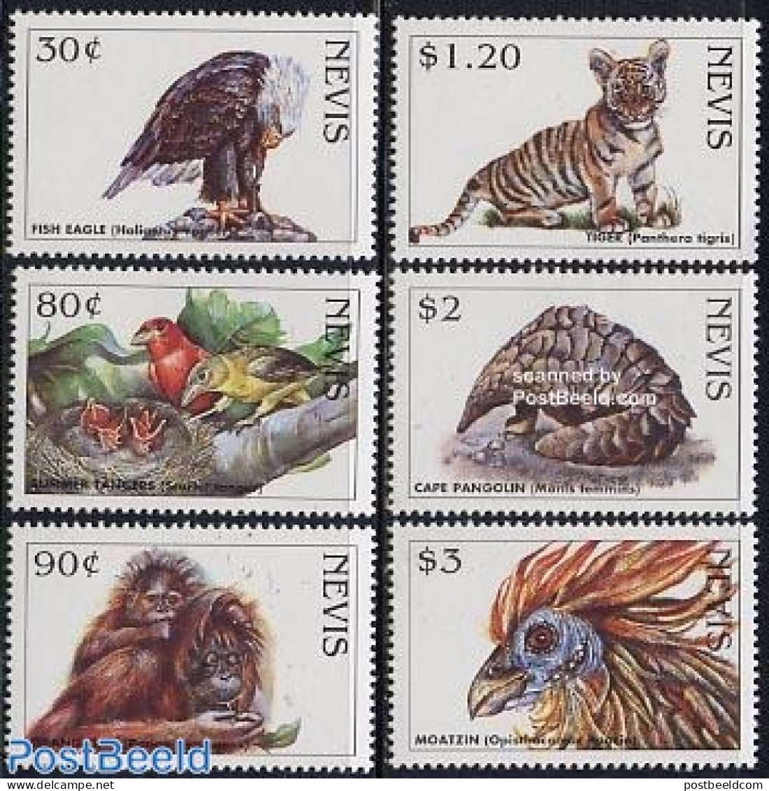 Nevis 1998 Rare Animals 6v, Mint NH, Nature - Birds - Birds Of Prey - Cat Family - Monkeys - St.Kitts-et-Nevis ( 1983-...)