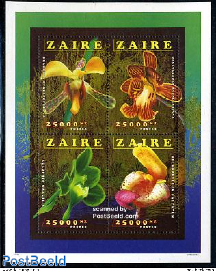 Congo Dem. Republic, (zaire) 1996 Orchids 4v M/s, Mint NH, Nature - Flowers & Plants - Orchids - Sonstige & Ohne Zuordnung