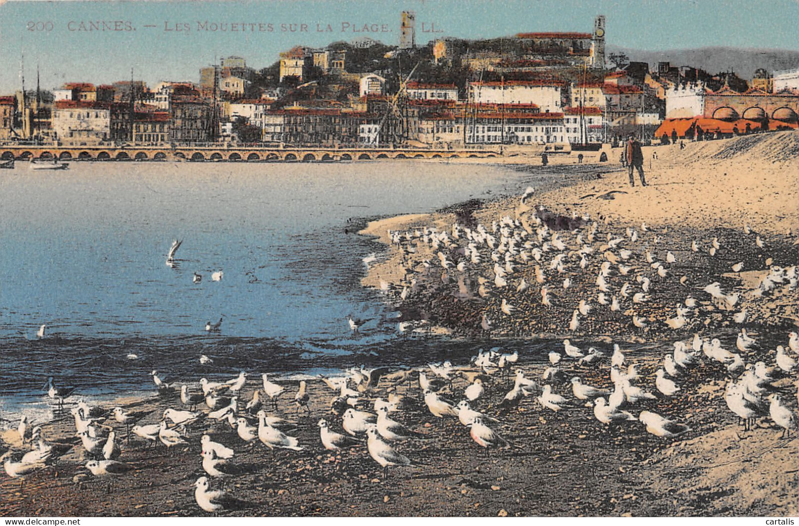 06-CANNES-N°3787-H/0181 - Cannes